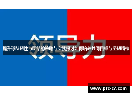 提升球队韧性与团结的策略与实践探讨如何培养共同目标与坚韧精神