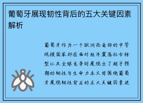 葡萄牙展现韧性背后的五大关键因素解析