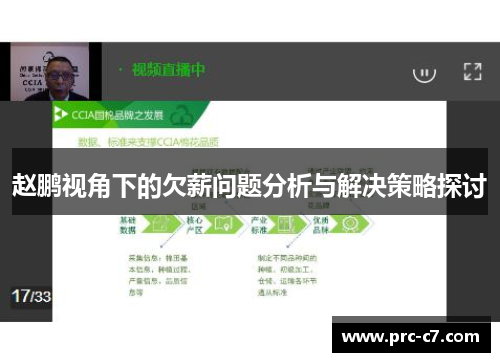 赵鹏视角下的欠薪问题分析与解决策略探讨