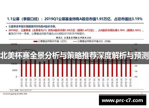 北美杯赛全景分析与策略推荐深度解析与预测