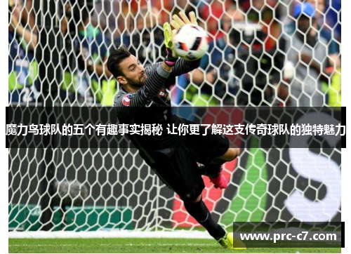 魔力鸟球队的五个有趣事实揭秘 让你更了解这支传奇球队的独特魅力