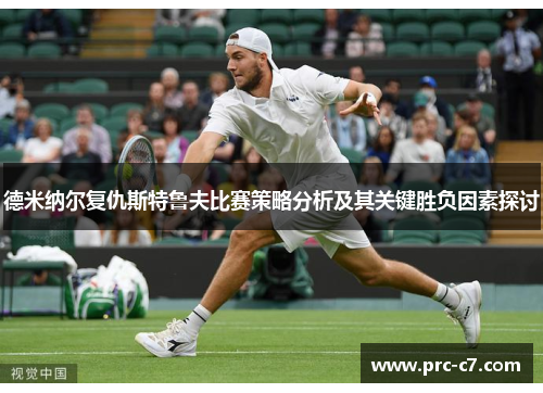 德米纳尔复仇斯特鲁夫比赛策略分析及其关键胜负因素探讨