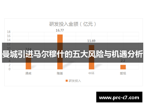 曼城引进马尔穆什的五大风险与机遇分析