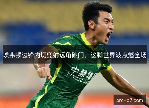 埃弗顿边锋内切兜射远角破门，这脚世界波点燃全场